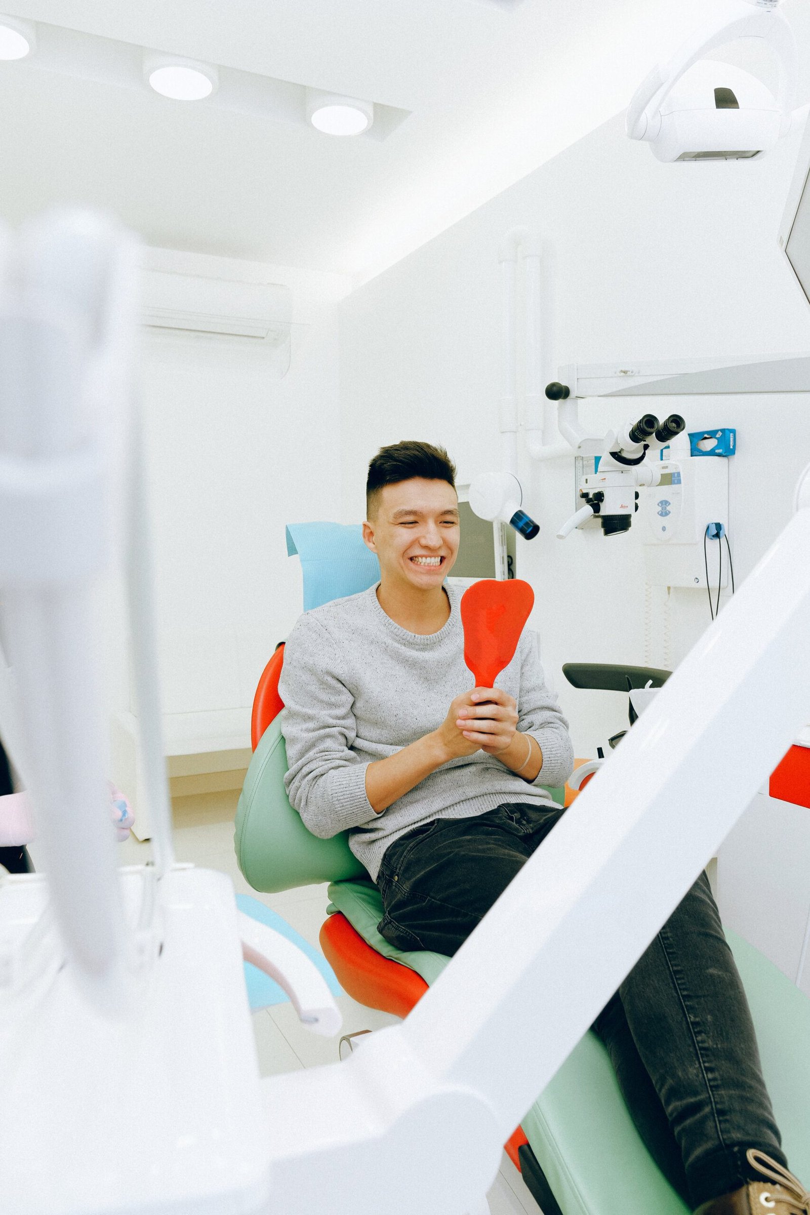 Affordable options for dog tooth extraction in Singapore