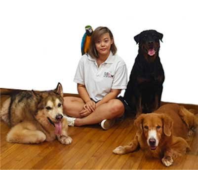 Available Dog Trainer Job Positions in Singapore