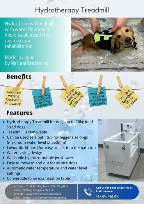 Benefits of Hydrotherapy for Dogs in Singapore