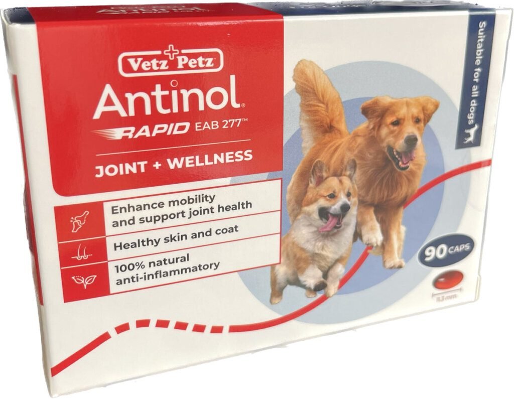 Benefits of Using Antinol for Dogs in Singapore