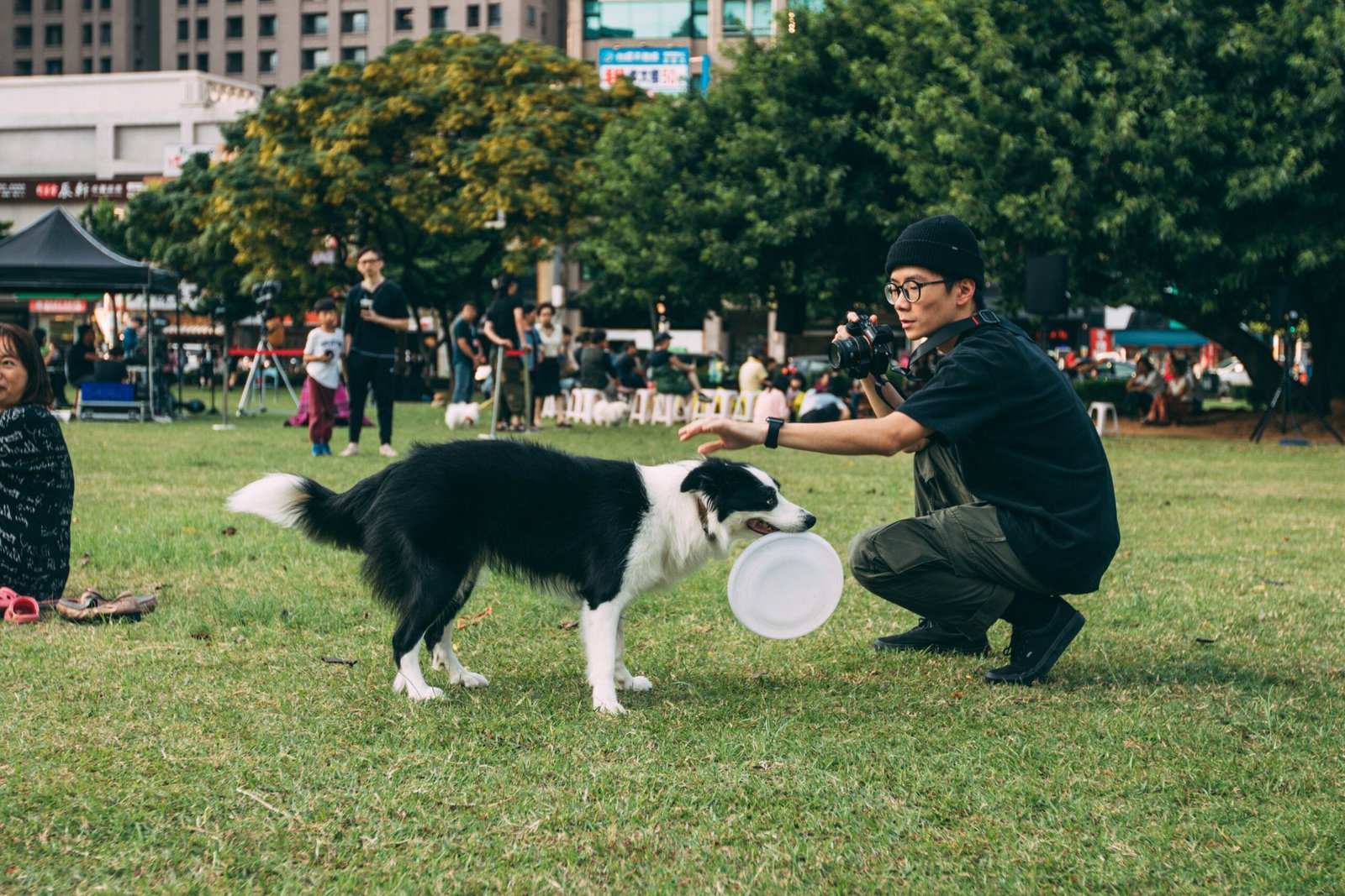 Best Obedience Class for Dogs in Singapore