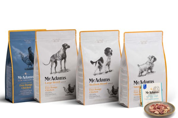 Best Places to Buy Dog Food in Singapore