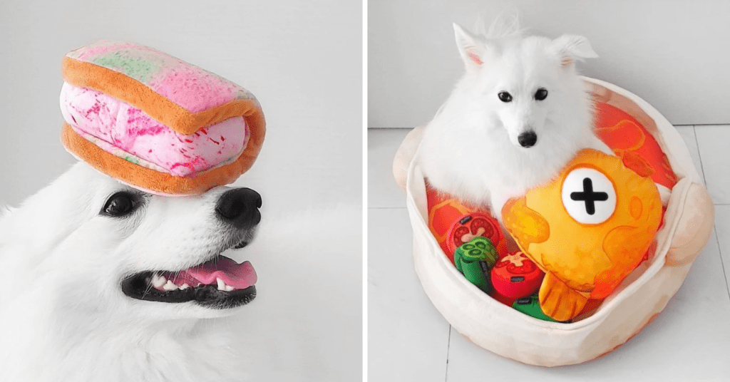 Best Places to Buy Dog Toys in Singapore