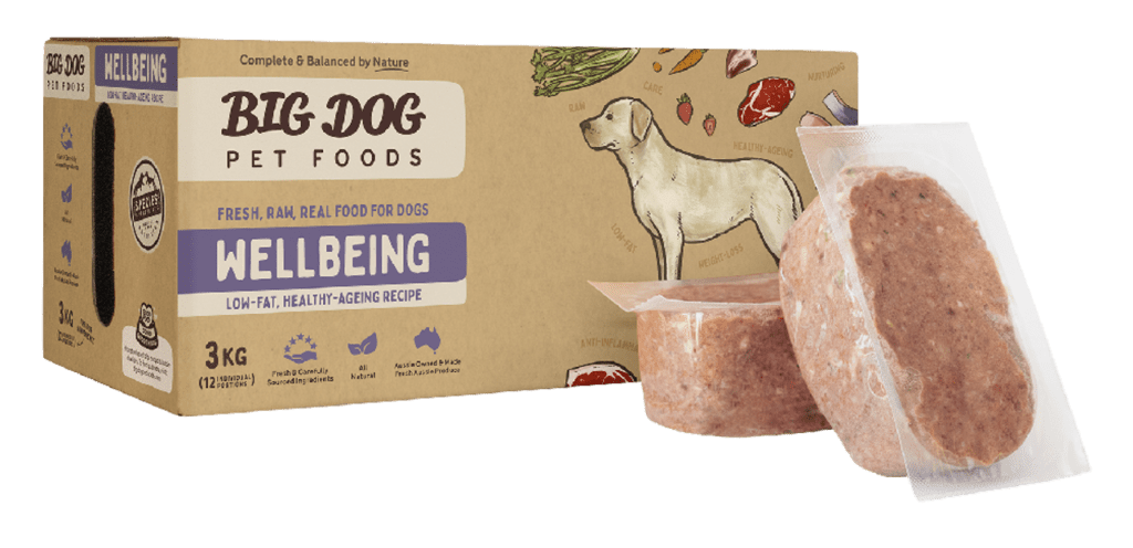 Big Dog Raw Food: A Nutritious Choice for Your Dogs Health