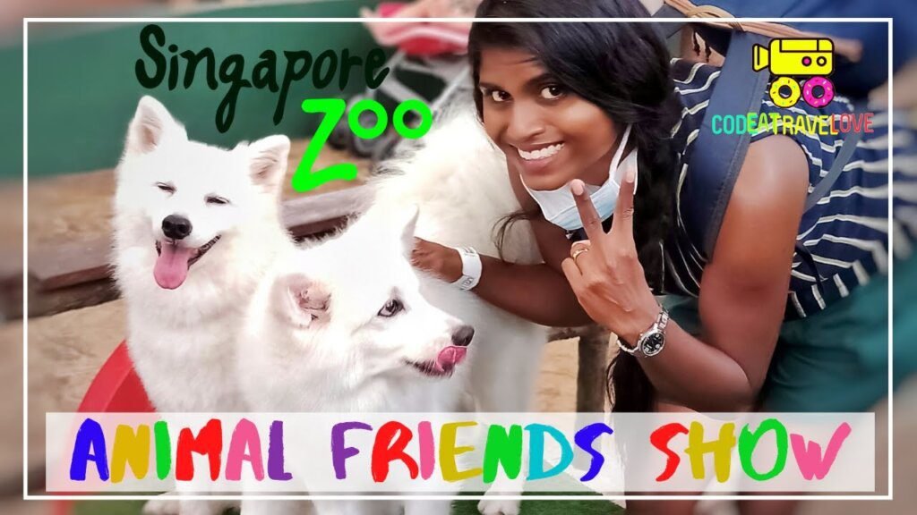 Can I bring my dog to the Singapore Zoo?