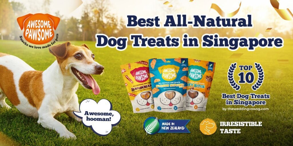 Cool Treats for Dogs in Singapore
