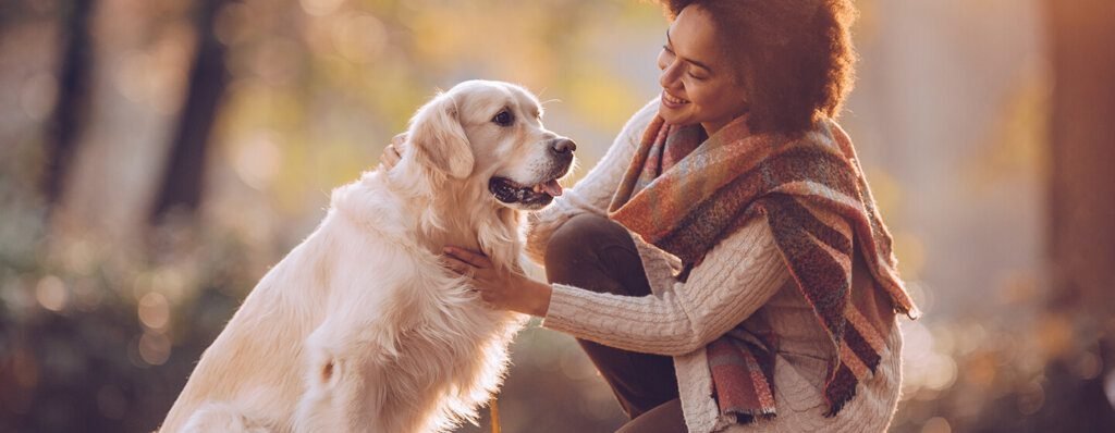 Coping with the Loss: Finding Support When Your Dog Passes Away