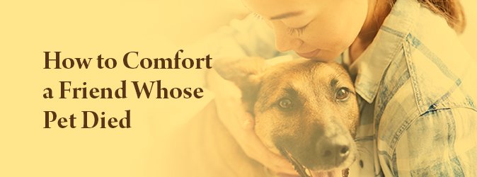 Coping with the Loss: Finding Support When Your Dog Passes Away