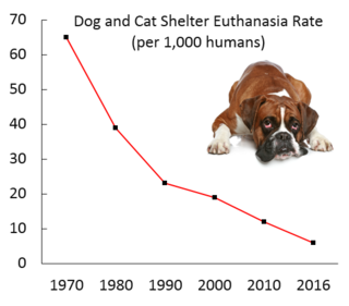 Cost of Euthanizing a Dog in Singapore