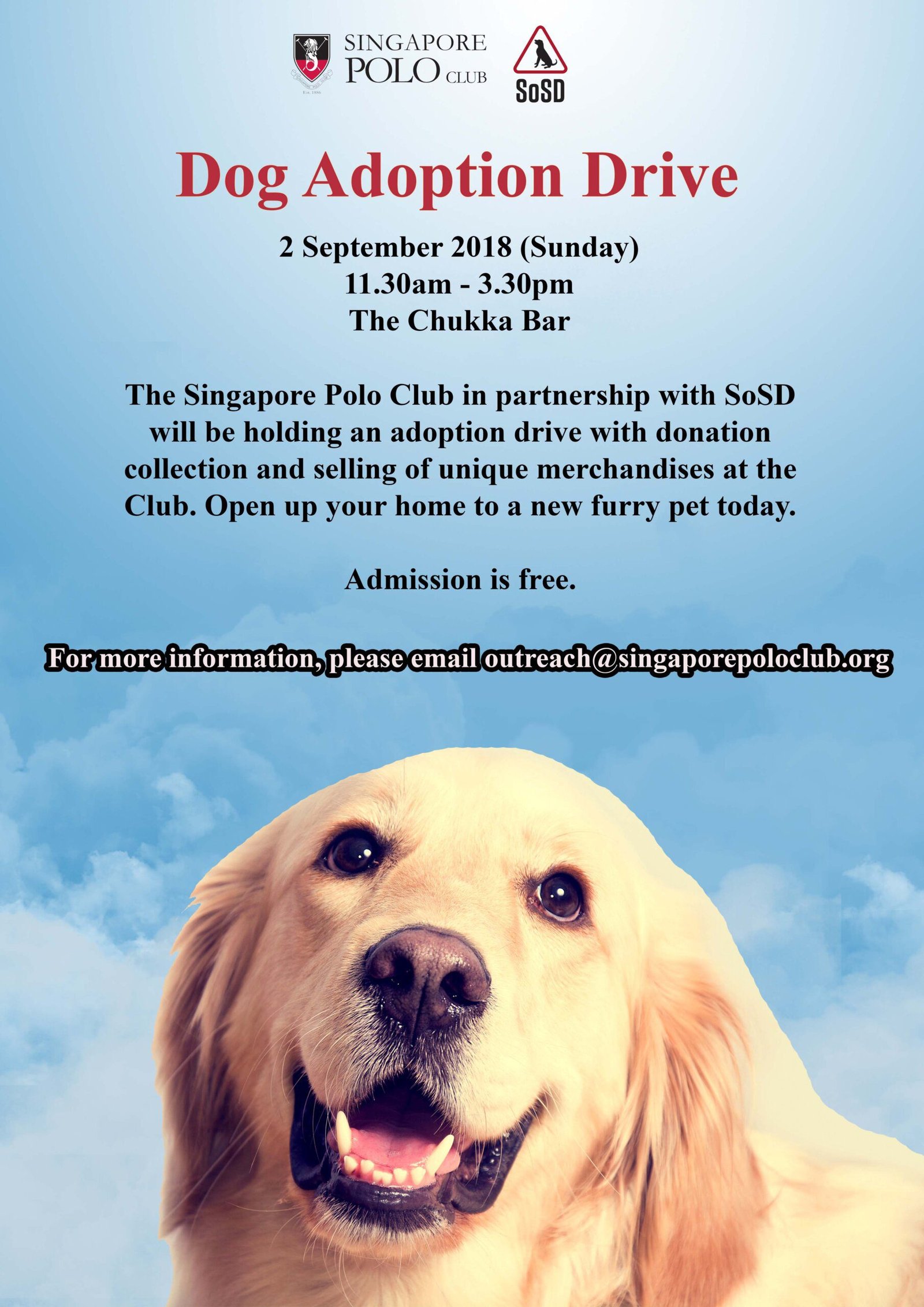 Dog Adoption Drive in Singapore