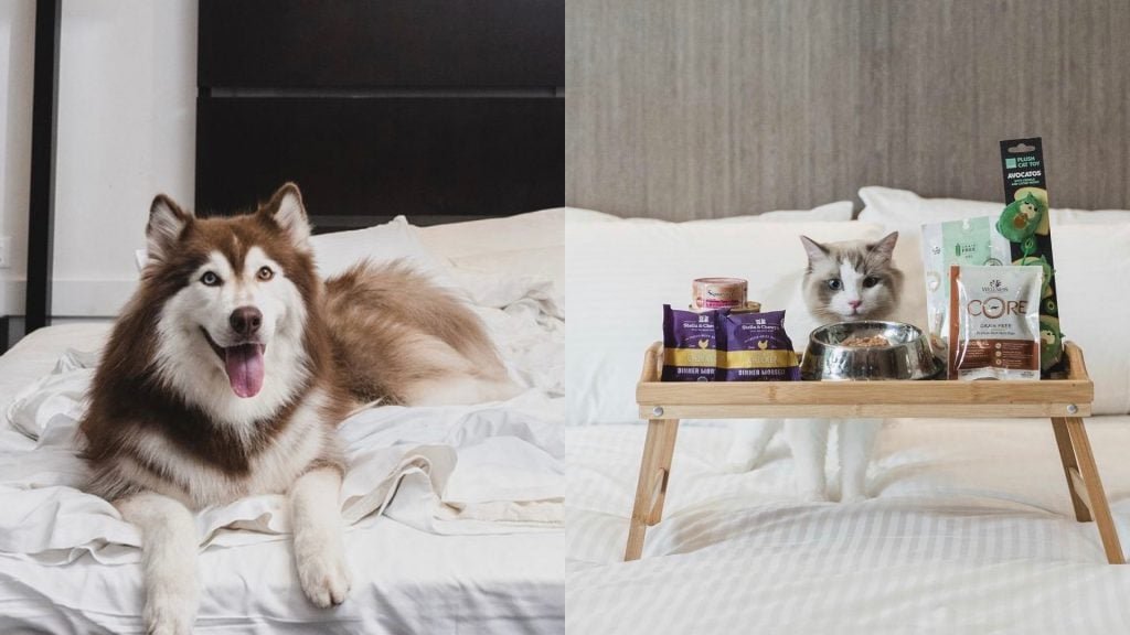 Dog-Friendly Hotels in Singapore