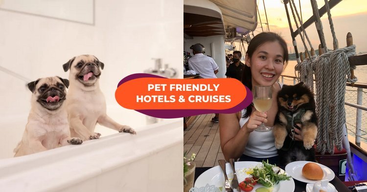 Dog-Friendly Hotels in Singapore