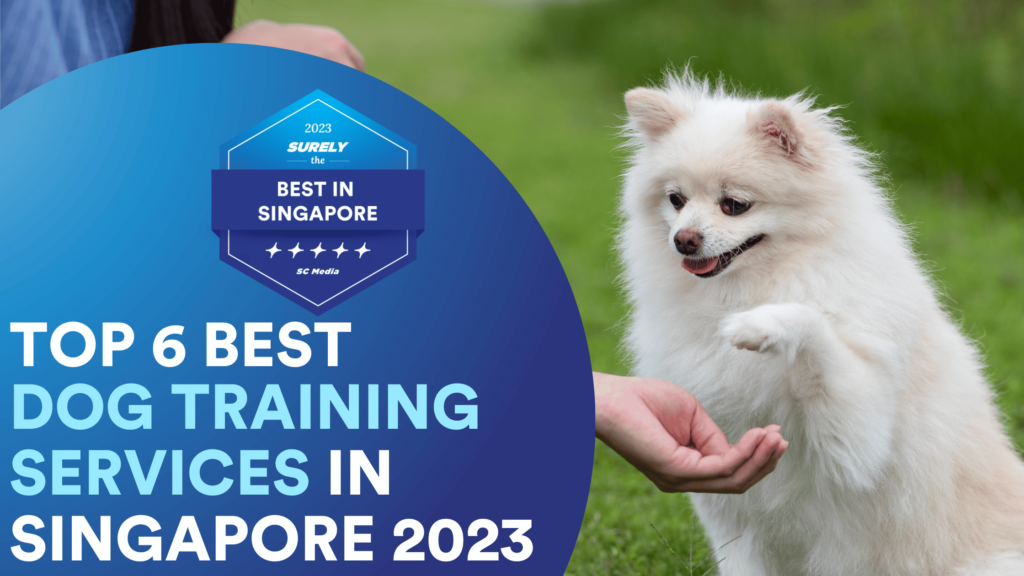 Effective Dog Training Techniques in Singapore