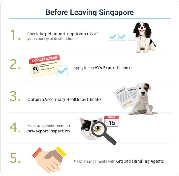Guidelines for Importing a Dog into Singapore