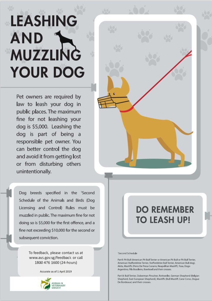 Guidelines for Muzzling Dogs in Singapore