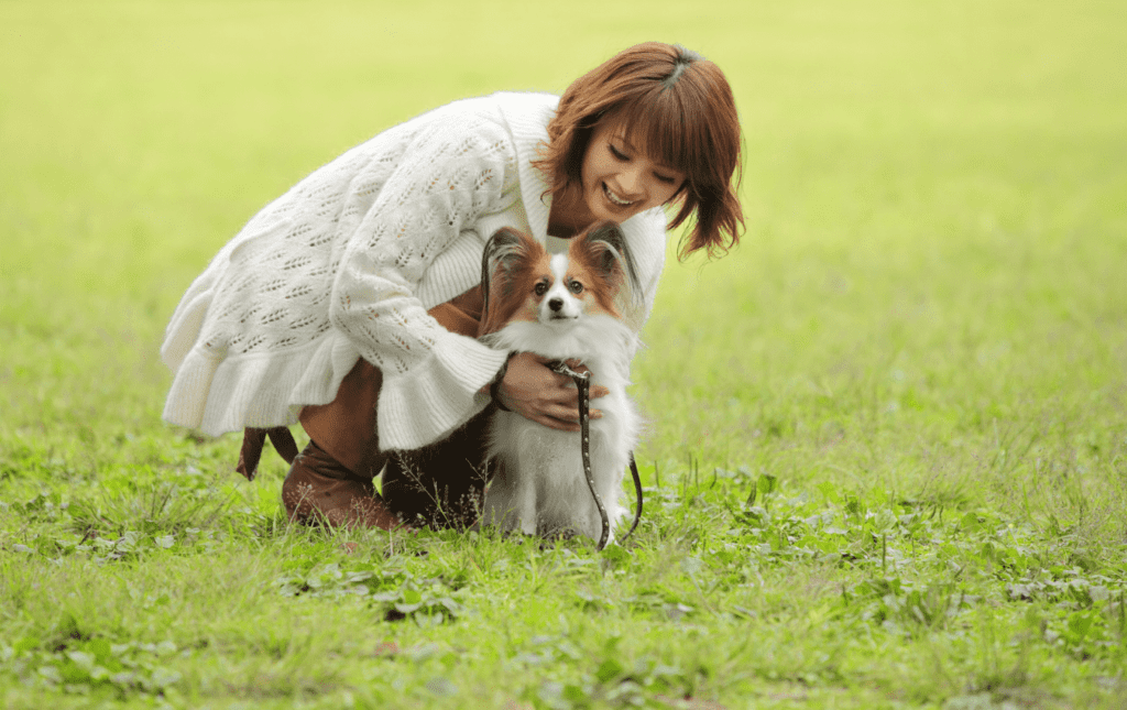 How to Adopt a Dog in Singapore