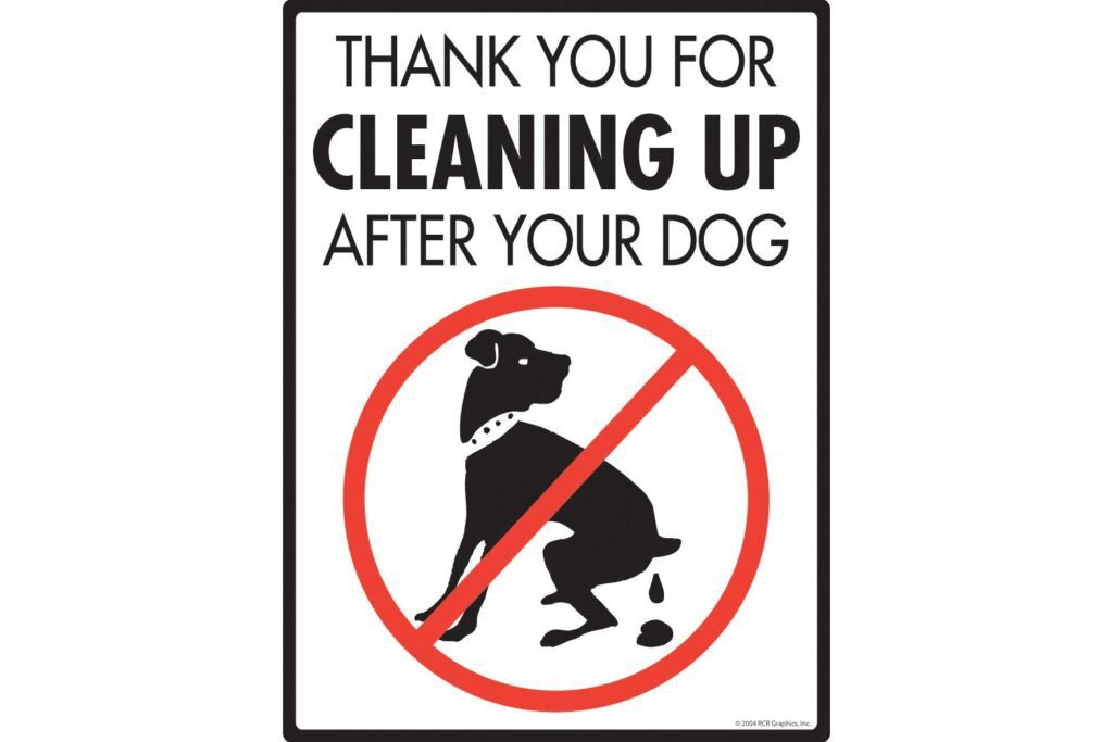 How to Report Dog Poop in Singapore