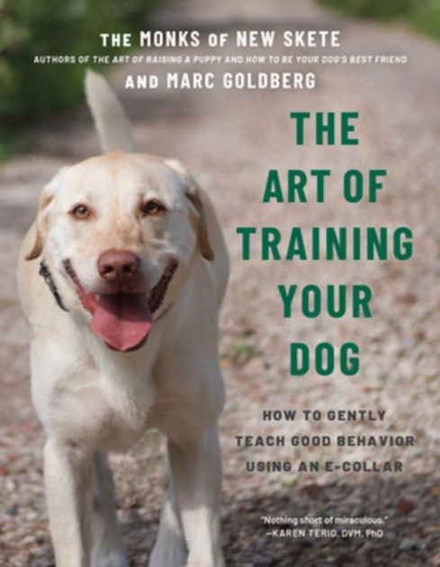 Mastering the Art of Dog Training in Singapore
