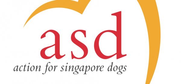 Taking Action to Help Singapores Dogs