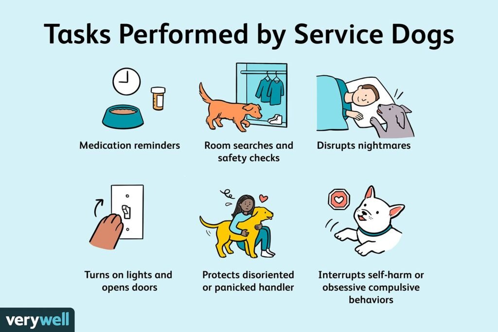 The Basics of Training a Service Dog