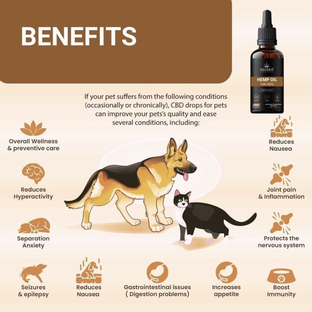 The Benefits of CBD Oil for Dogs