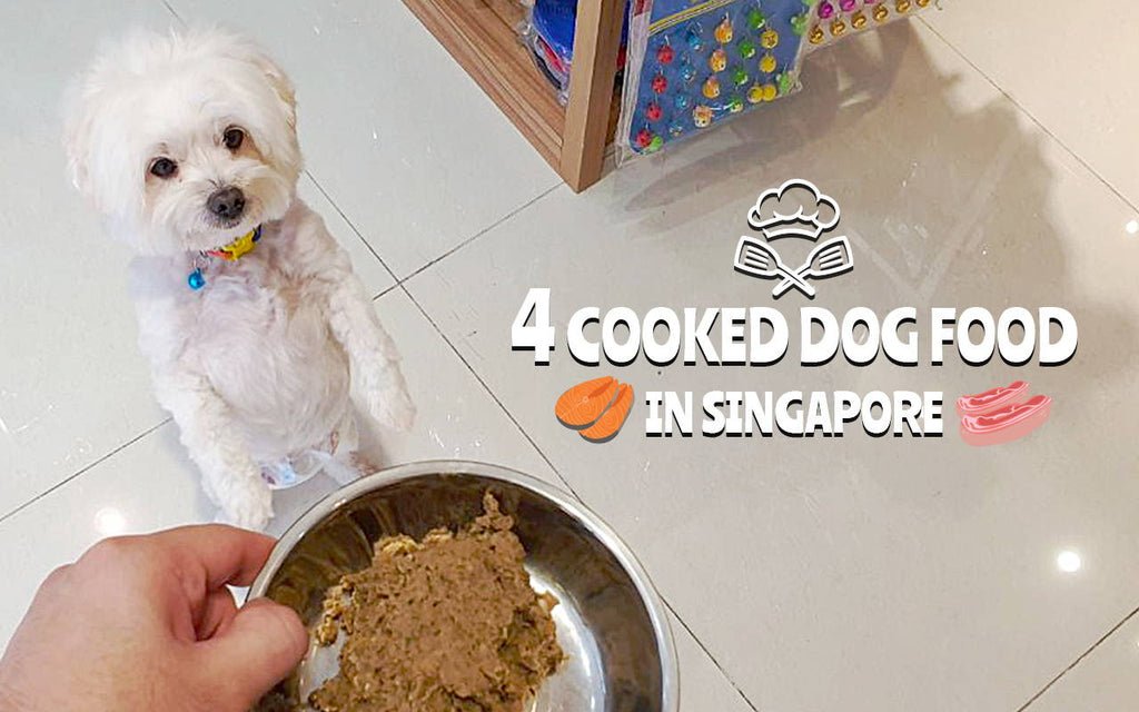 The Best Cooked Dog Food Brands in Singapore