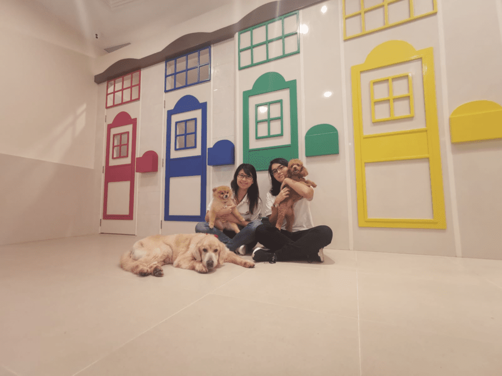 The Best Dog Boarding Facilities in Singapore
