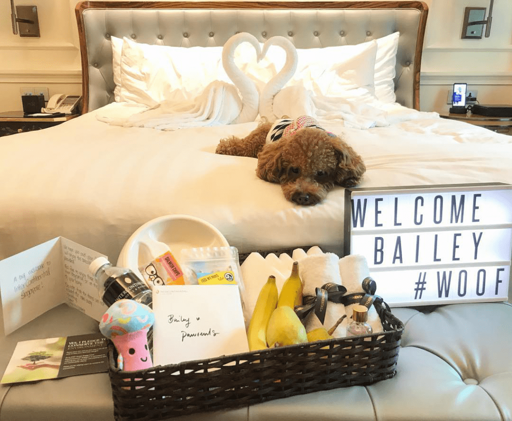 The Best Dog-Friendly Hotel in Singapore