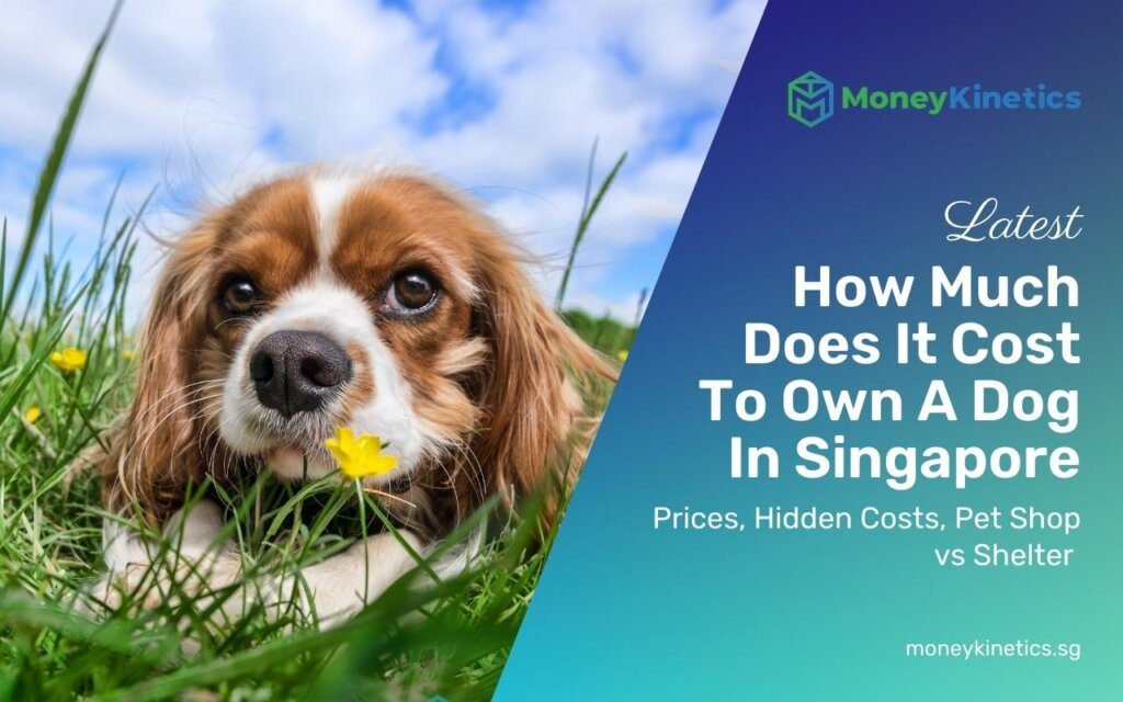 The Cost of Owning a Dog in Singapore