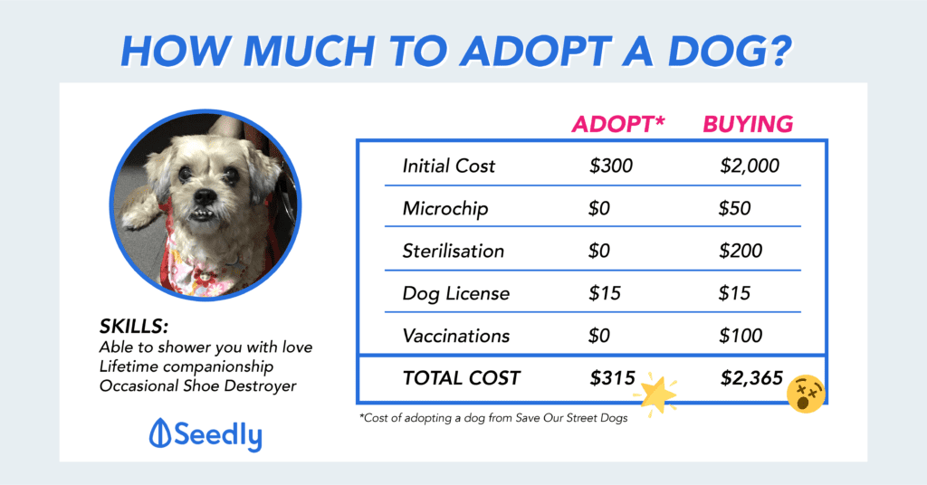 The Cost of Owning a Dog in Singapore