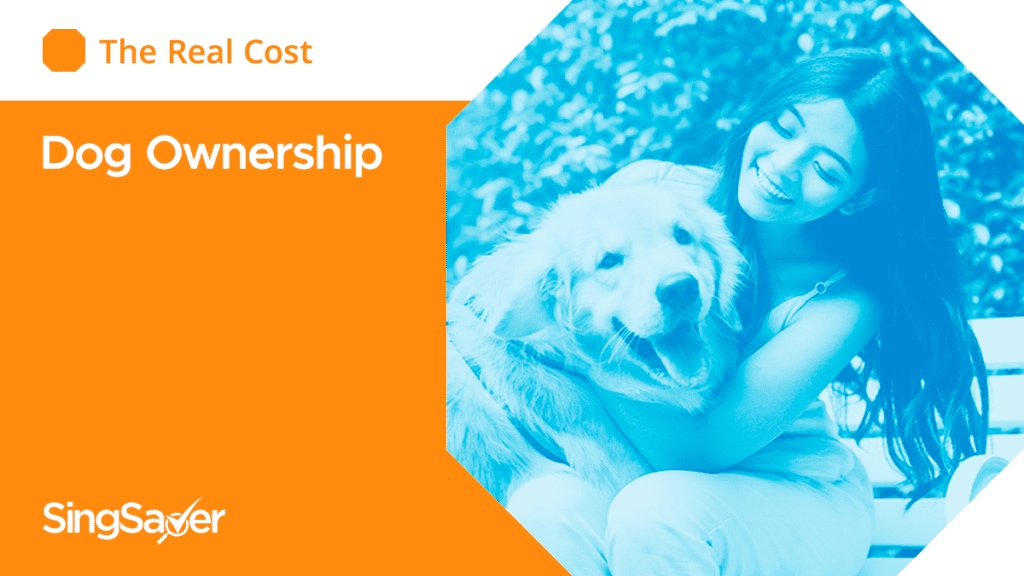 The Cost of Owning a Dog in Singapore: Understanding the Expense