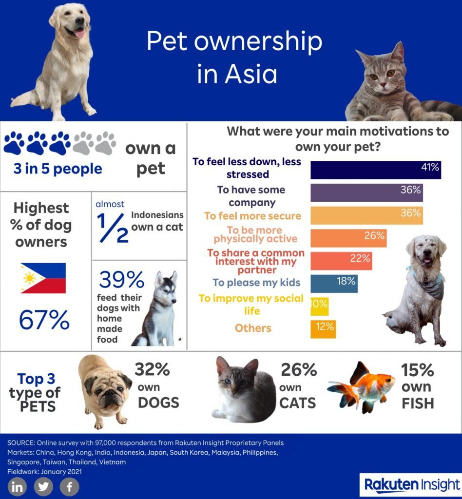 The Dog Population in Singapore