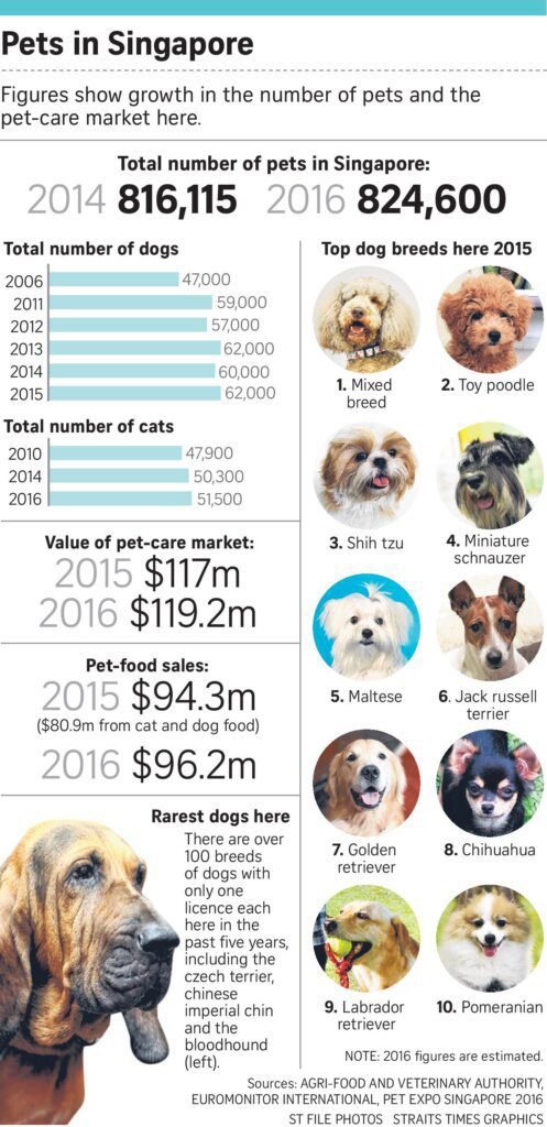 The Dog Population in Singapore
