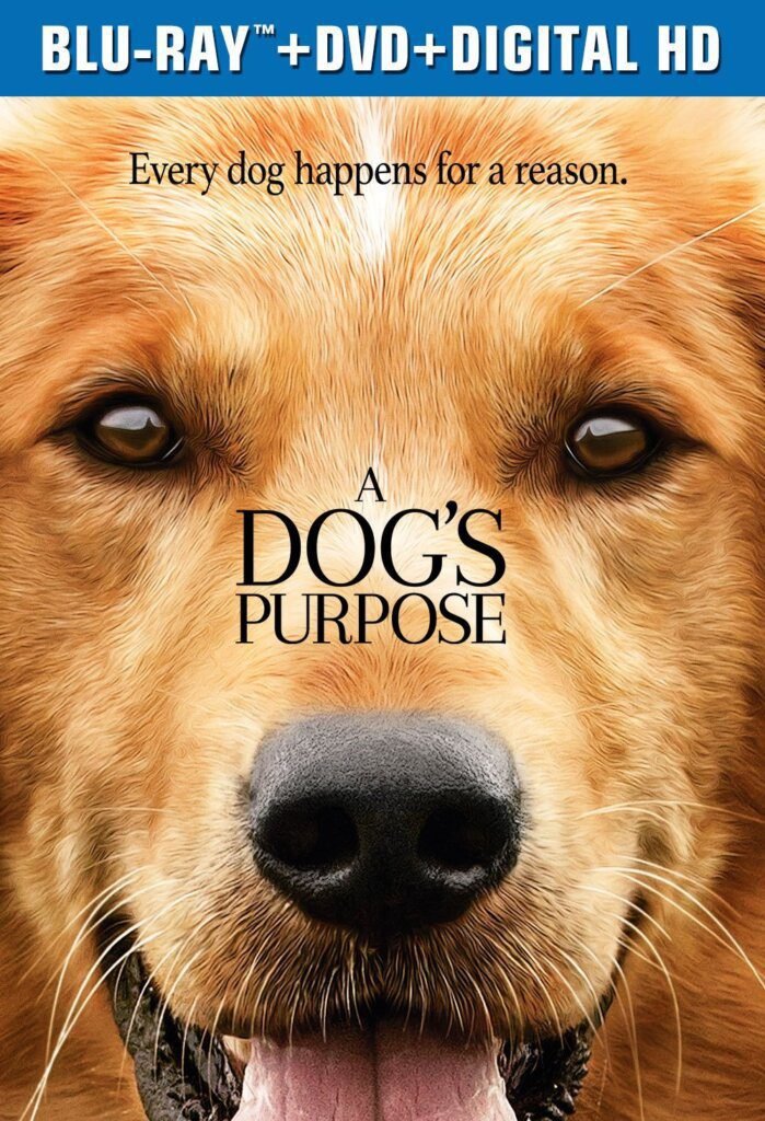 The Dogs Purpose: A Heartwarming Movie for Pet Lovers