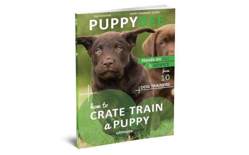 The Ultimate Guide to Crate Training a Puppy