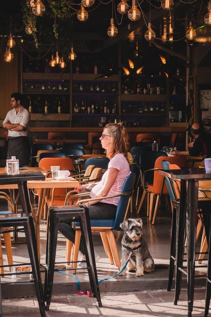The Ultimate Guide to Dog Cafes in Singapore