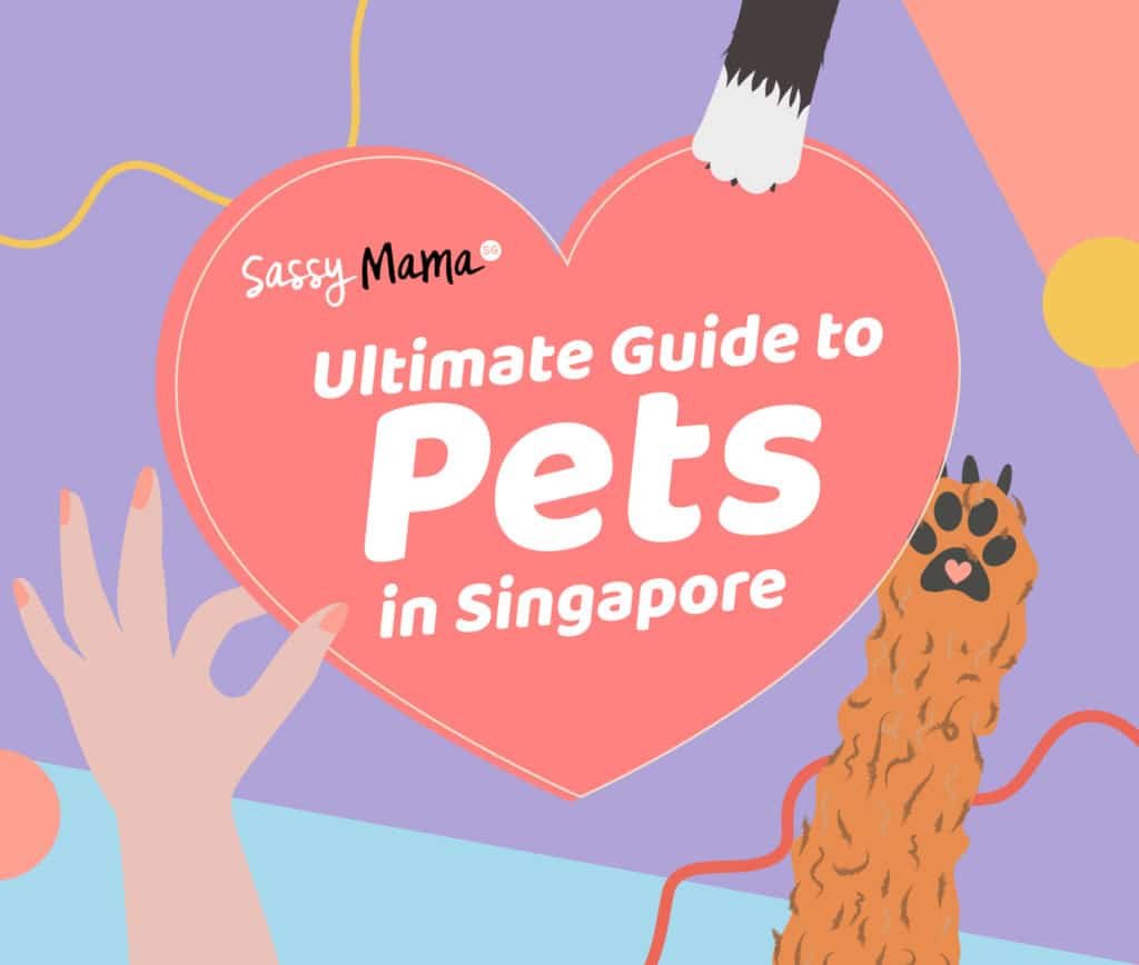 The Ultimate Guide to Having a Dog in Singapore