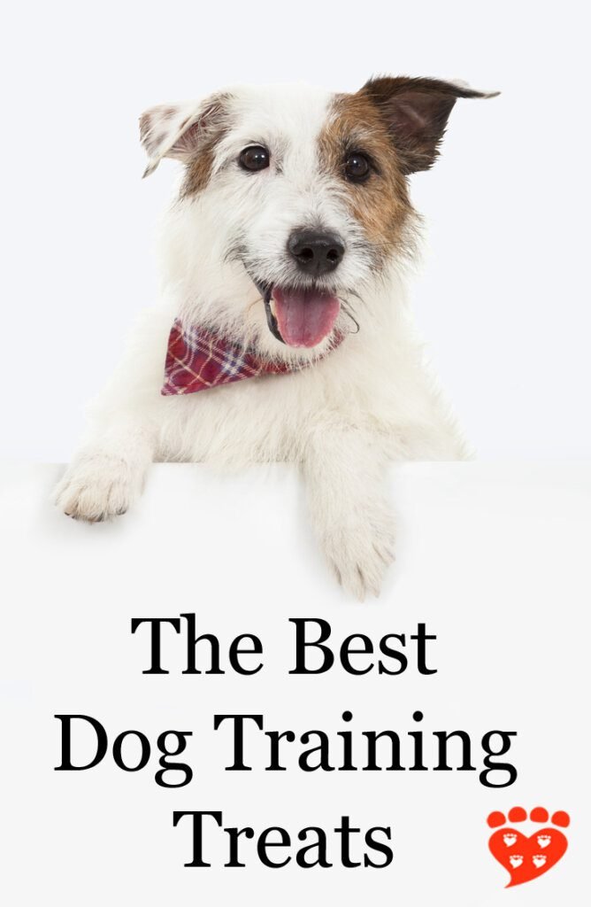 Training Your Dog with Tasty Treats