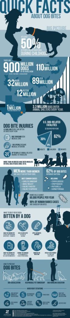 Understanding Dog Bite Laws in Singapore