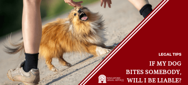 Understanding Dog Bite Laws in Singapore