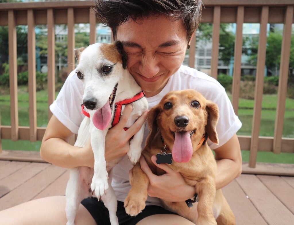 Where to Adopt a Dog in Singapore