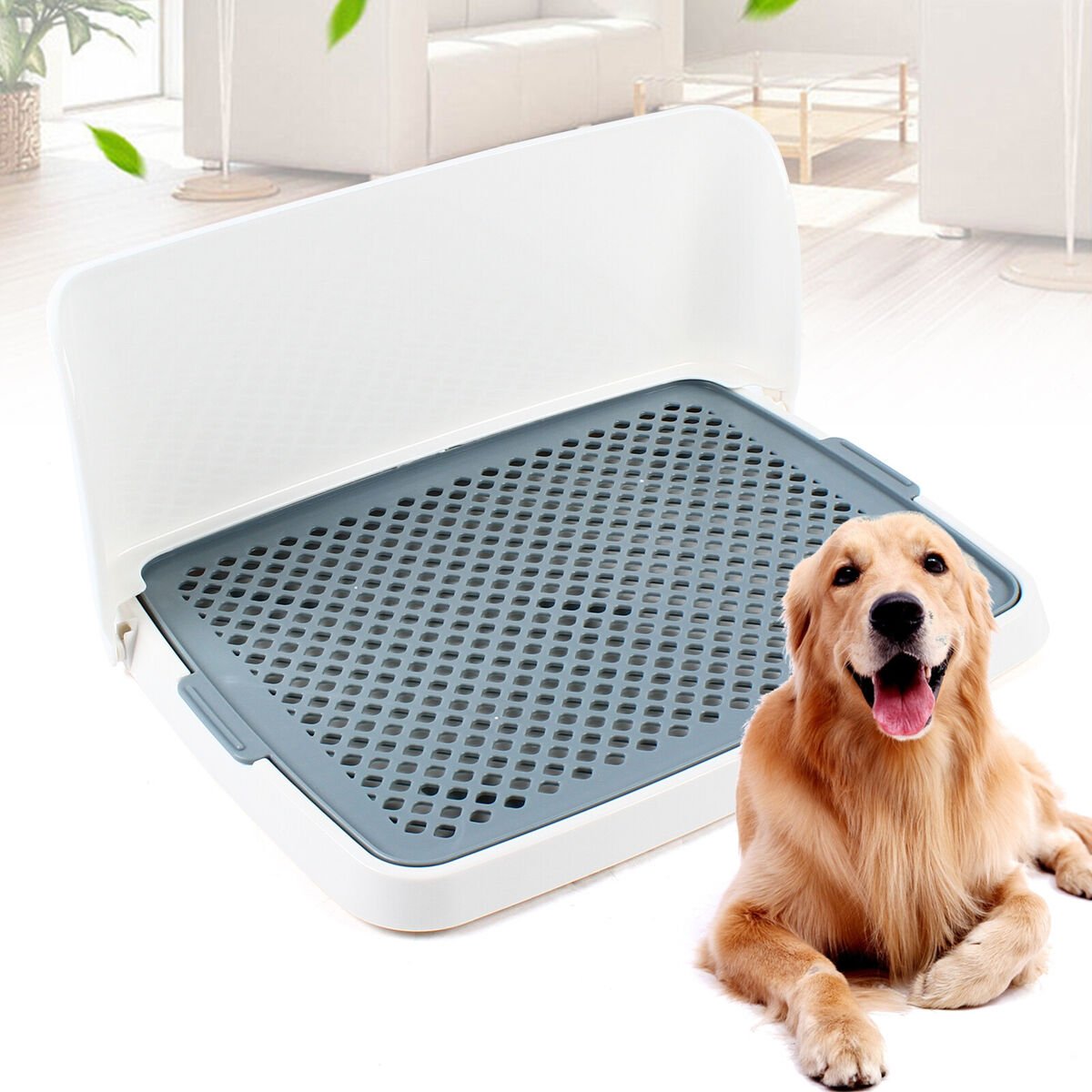 Where to Buy Dog Toilet Tray in Singapore