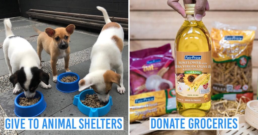 Where to Donate Dog Food in Singapore