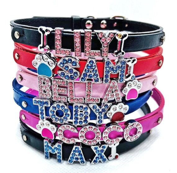 Where to Find Customised Dog Collars in Singapore - Smart Dog Daily