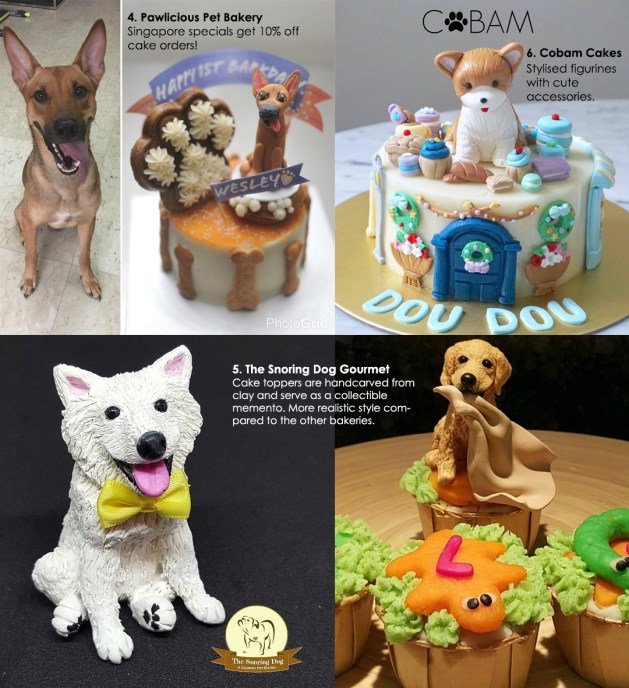 Where to Find Dog Cakes in Singapore