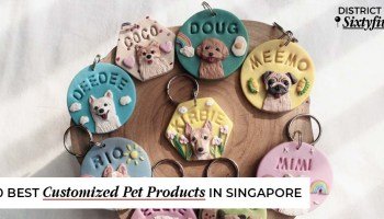 Where to Get Customized Dog Tags in Singapore
