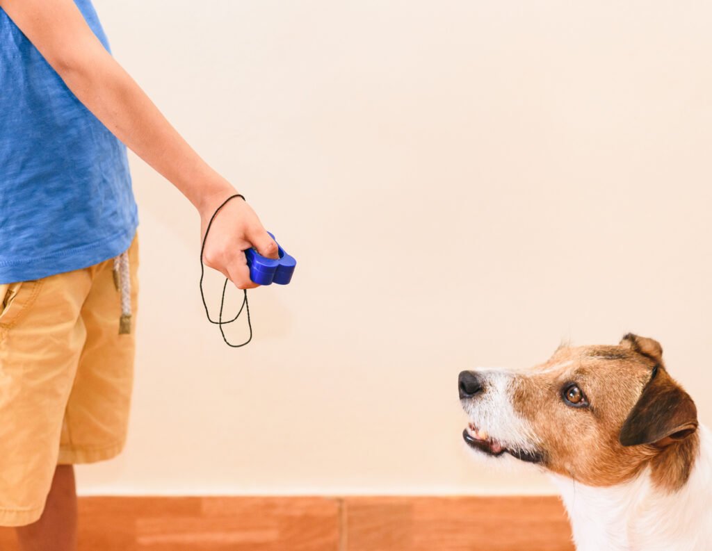 Clicker Training: Teaching Dogs Commands and Tricks