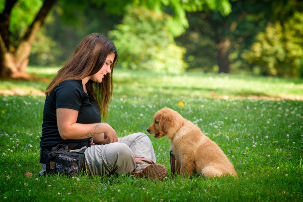 Dog Training Programs in Mooresville, NC