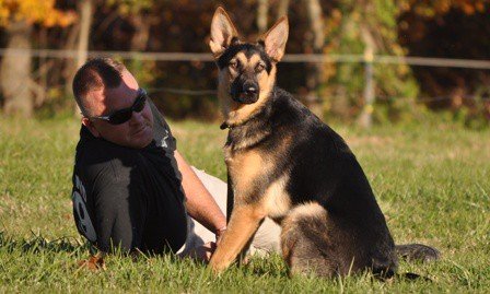 Highland Canine Training: Professional Dog Training and Behavior Modification in Birmingham, Alabama