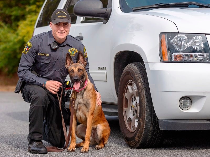 Highland Canine Training: Providing quality working dogs for law enforcement, security, military, and government organizations
